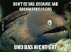 German-Bad-Joke-Eel.jpg