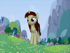 pony (5).png