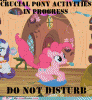 Pony activities.... you gotta love them.gif