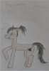Rockette pony OC.JPG