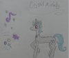 DSC01883.JPG