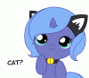 Dancing Woona Kitty.gif