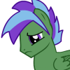 FC8.png