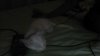 WIN_20150818_20_50_19_Pro.jpg