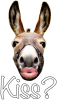 upload_2016-12-14_10-51-31.png
