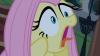Fluttershy's_reaction_to_seeing_Princess_Luna_S2E4.png