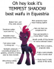 0d21be1700e068f51dcf93a803cbe1fa.png