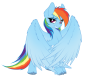IMG_1364.PNG