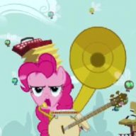 accordion pony