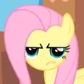 EquusStorm