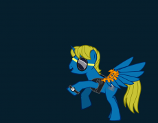 PonyKing
