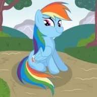 Supersonic Rainboom