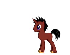 CrazyColt