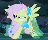 ponydaniel