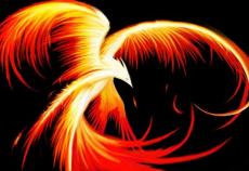 flame phoenix