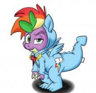 Rainbowshy