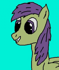 ApolloBrony