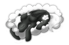 Sleepy Dreams