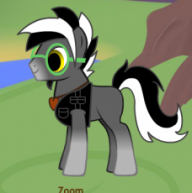 Tazzooca