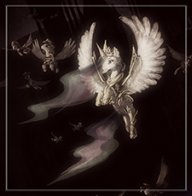 AnemonePetal