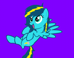 sonicdashie