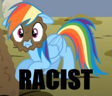 RACIST PONY