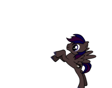Dusk Apollo