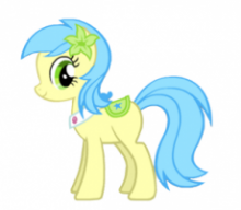 Digipony