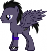 Raven