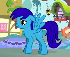 LittleRobin