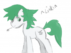 Liokin