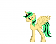 thunderdsh4894