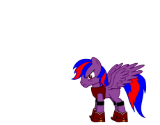 TheEpicRainbowBrony