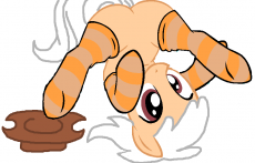 Georgeboy Pony