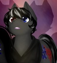 Doctor Whooves