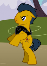 ~Brash~
