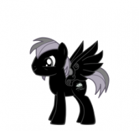 Silver Shadow