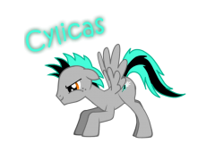 Cylicas