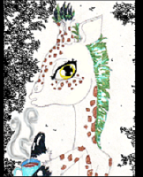TuniPeace