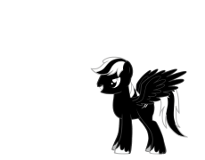 DarkDash20%
