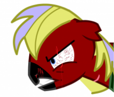 Black Mask the war Pony