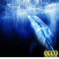 Ecco the Dolphin
