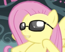 Brony 4life