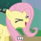 Ponyplaya