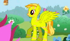 lighting dash