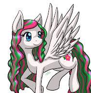 Blossom_Forth