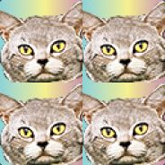ProbablyMemetic