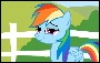 rainbowNgr