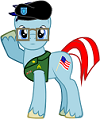 Flagwaver