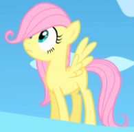 Ponies n Pizza